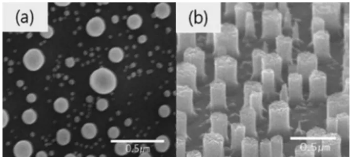 Fig. 1. Schematic diagram of PNS UV-LED. SiO 2  nano sized columns are on an internal n-GaN layer.