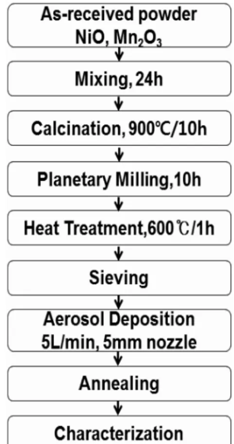 Fig. 1. Flow diagram of experimental procedure.