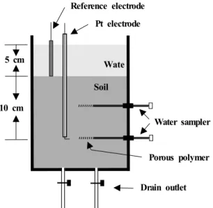 Fig. 2. Schematic diagram of the experimental paddy soil system.