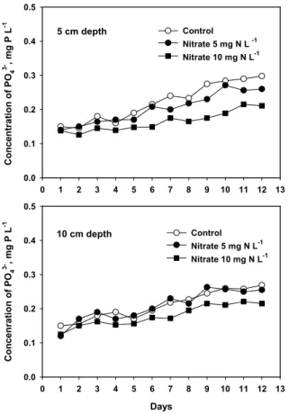 Fig. 5. Changes of soil solution concentrations of Fe 2+