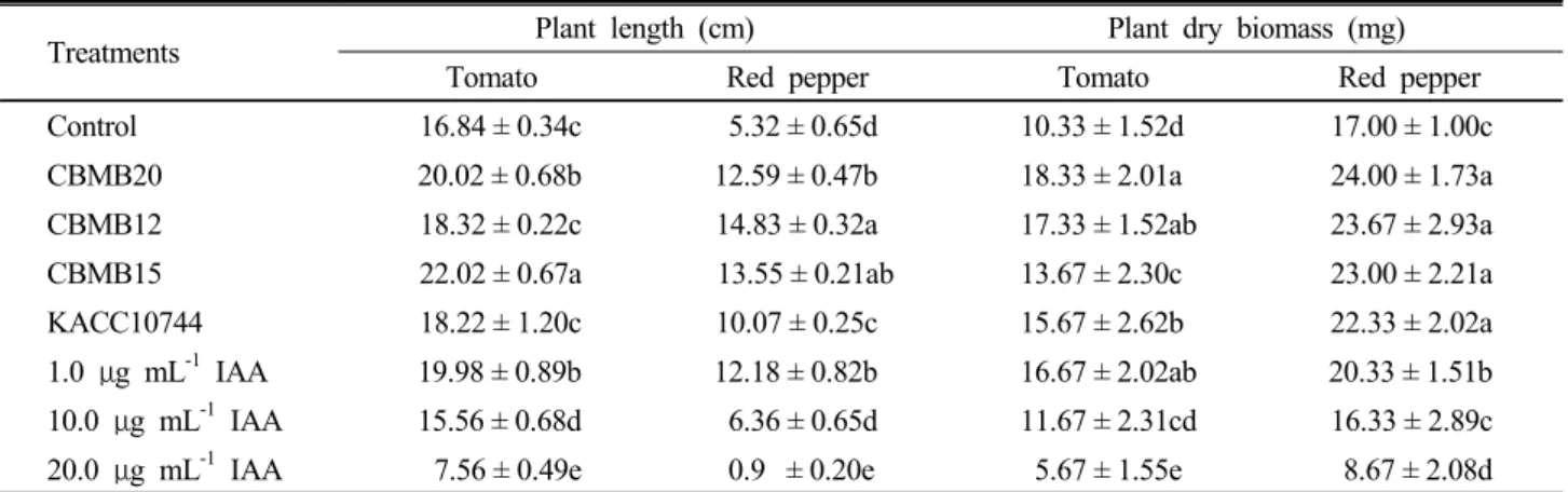 Fig. 3. Effect of Methylobacterium strains CBMB20 and KACC10744 and exogenous IAA application on average nodal length and specific leaf weight (SLW) of red pepper grown under greenhouse condition.