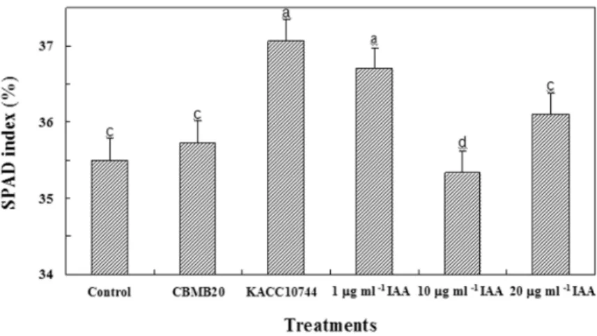 Table 3. Effect of Methylobacterium strains CBMB20 and KACC10744 and exogenous IAA application on growth and biomass accumulation of red pepper grown under greenhouse condition at 20 days after sowing.
