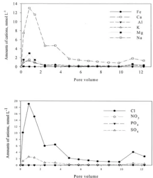 Fig. 3. Amounts of ions recovered at the bottom of soil column packed with surface soil of low-salinity soil.