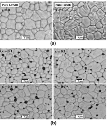 Fig. 2. SEM micrographs of [La 0.7 (Ca 1 − x Sr x ) 0.3 MnO 3 )] 0.99 / (BaTiO 3 ) 0.01  composites with different  x