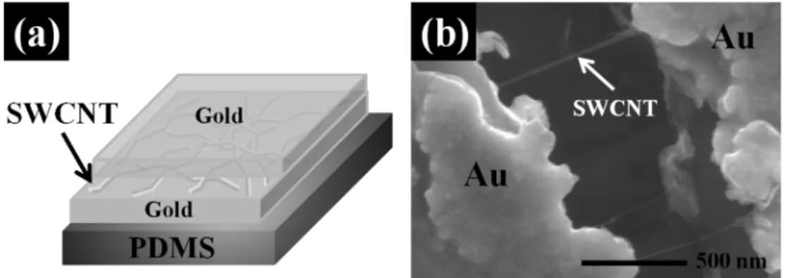 Fig. 1. (a) Schematic illustration of the Au-SWCNT composite electrode. (b) FESEM images of the Au-SWCNT composite electrode while 10% tensile strain was applied.