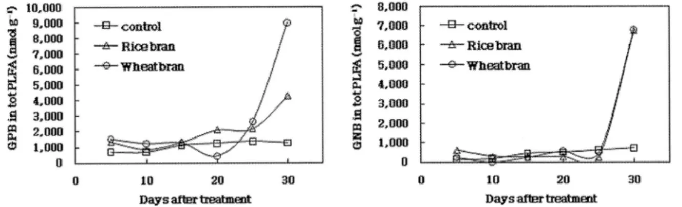Fig. 5. Biomass-C of 15 cm soil layer as affected by anaerobic fermentation of rice bran and wheat bran in the soil.