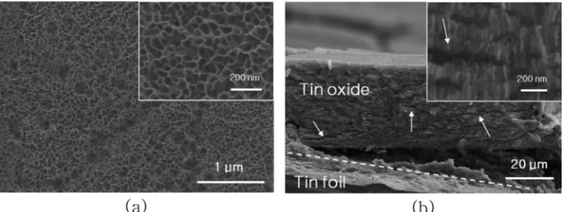 Fig. 2. (a) Typical micrograph of anodic tin oxide scratched from tin substrate and (b) the magnified image of an oxide particle.