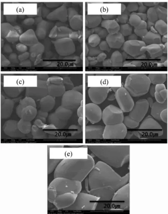 Fig. 2. SEM of ZnS:Mn phosphors for various Bi concentration. a) Bi 0 mol%, b) Bi 3 mol%, c) Bi 5 mol%, d) Bi 7 mol% and e) Bi 10 mol%.