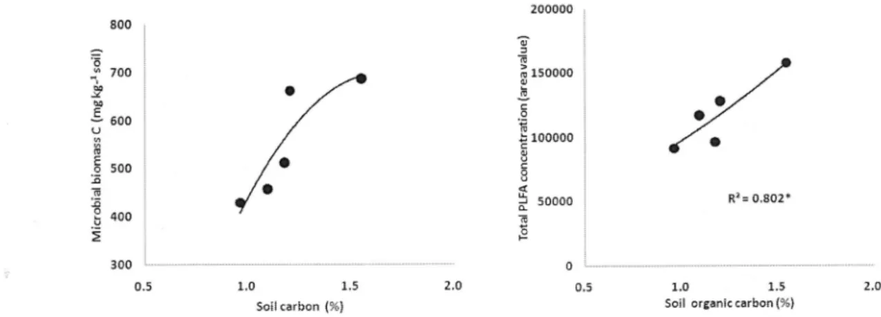 Fig. 3. Regression between soil carbon and microbial biomass in soils of long-term rice paddy field