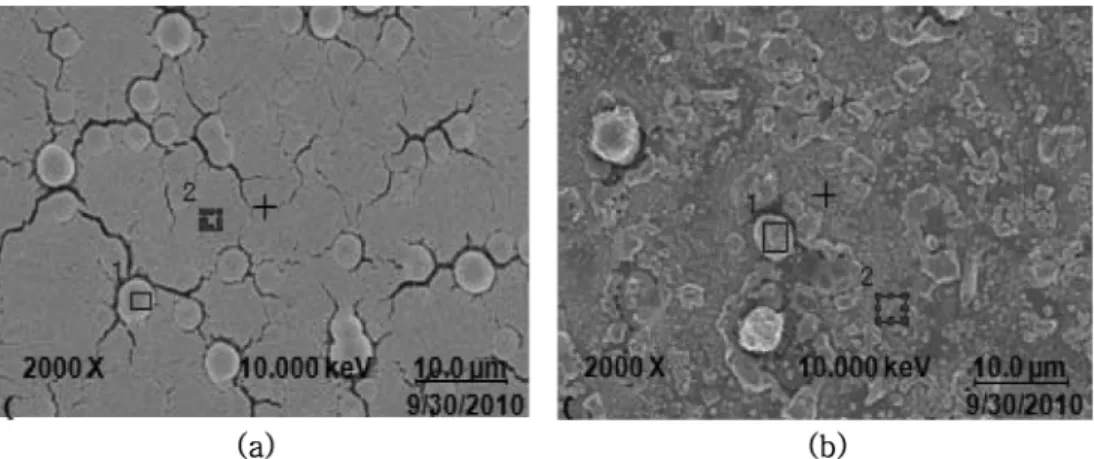 Fig. 9. The SEM images of the CIGS films for the analysis of chemical composition with AES