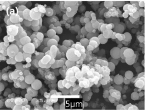 Fig. 1. Morphology of Ti-precursor synthesized with Ti-concentration (60 minutes reaction at 50 o C, heat treatment : 600 o C) (a) 0.05 mol and (b) 0.1 mol.