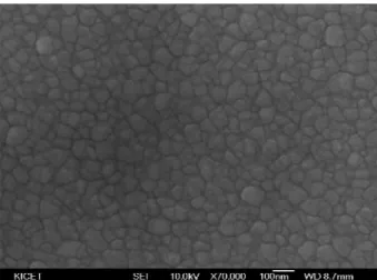 Fig. 6. SEM image of SrCu 2 O 2  thin film deposited by RF magnetron sputtering. ( 500 o C 1% H 2 /(Ar + H 2 ))