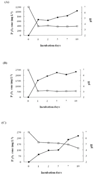 Fig. 3. Changes in concentration of organic acids by PSB on HY broth culture at 30℃ ℃ for 10 days