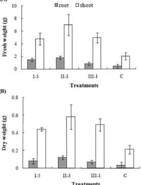 Fig. 4. Fresh(A) and dry(B) weights of root and shoot of cucumber plants at 7 weeks after planting as influenced by inoculation with Acinetobacter sp