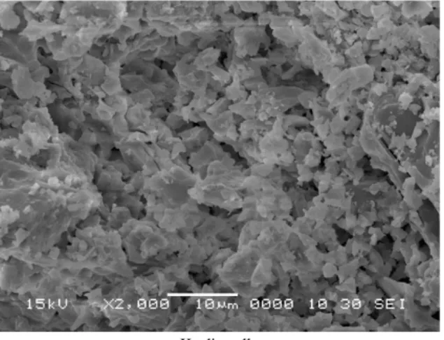 Fig. 6. SEM photograph of cross section of pellets.