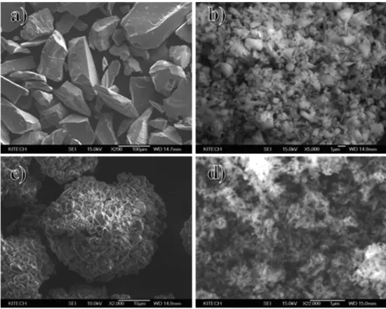 Fig. 1 presents scanning electron microscopy (SEM) microstructures of the powders used in this study