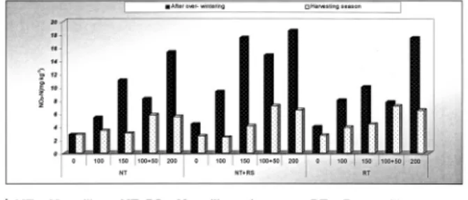 Fig. 3. Changes of NO 3 -N contents during growing season in soil under different tillage methods and applied rates of N.