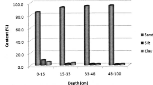 Fig. 1. Particle size distribution with depth of Baegsu series.