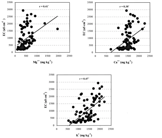 Fig. 1. The relation between electrical conductivity and cations (Ca ++ , Mg ++ , and K + ) of the rainfall interception culture soils of Rubus sp
