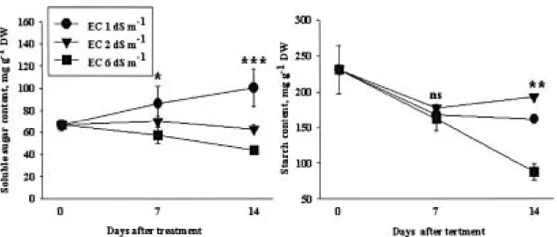 Fig. 4. Changes of NH 4 +