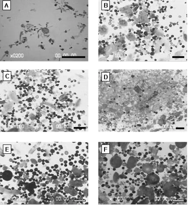Fig. 2. Various shapes of AMF spore in the rhizosphere soil at Ginseng-cultivated fields