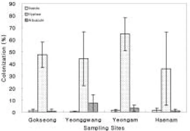 Fig. 5. AMF colonization percentage in several Ginseng- Ginseng-cultivated fields. (Vertical line is standard error).