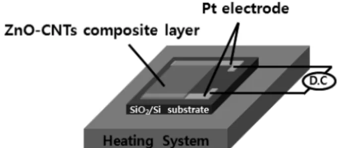 Fig. 1. Schematic diagram of sensor device.
