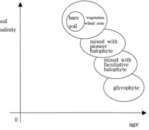 Fig. 6. Sequential type for continuum distribution of vegetation was influenced by soil salinity and reclaimed age