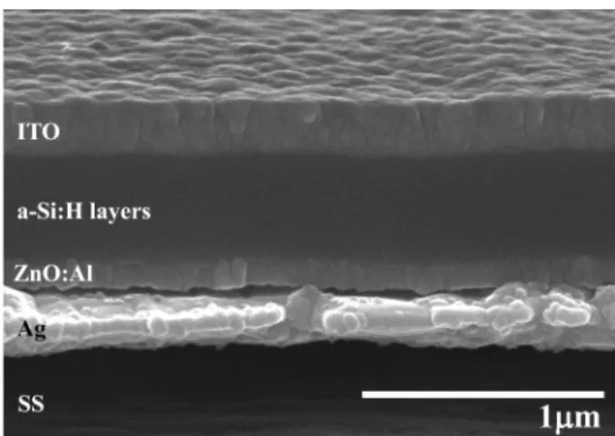 Fig. 1. Cross-sectional SEM image of flexible amorphous silicon thin film solar cell with the ZnO:Al/Ag back reflector.