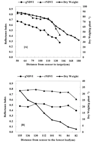 Fig. 5. Changes of NDVI by Crop Circle ACS-210 TM and dry weight of tobacco at different sensing distances from sensor to target made by removal method of leaves