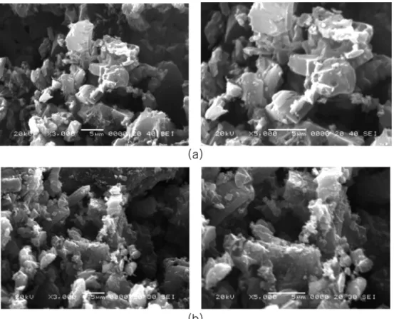 Fig. 3 shows the XRD pattern of the SACPs. XRD result shows the crystal phase of this SACPs