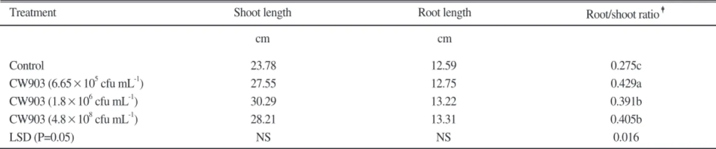 Table 3. Effects of different inoculation dose of Azospirillum brasilense strain CW903 on the shoot and root length and root to shoot ratio of rice