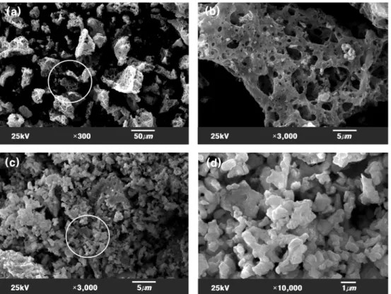 Fig. 3. SEM photographs of SrAl 2 O 4 :Eu 2+ ,Dy 3+  phosphor synthesized by solid-phase reaction method; (a) low magnification and (b) high magnification.