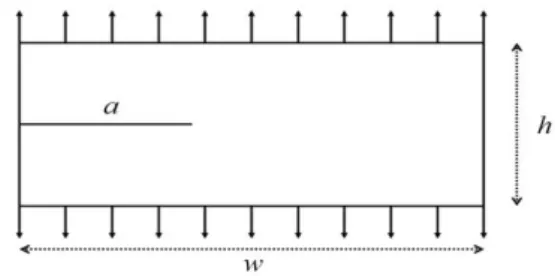 Fig. 3 Rectangular plate with an initial crack