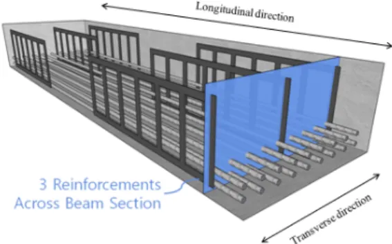 Fig. 1 Schematic view of a wide beam reinforced 