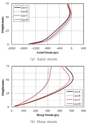 Fig. 11 Positions for the plot of strain distribution