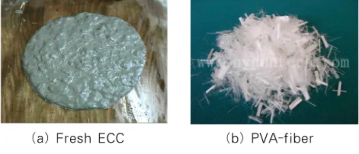 그림 1 Fresh ECC and Reinforcing Fiber