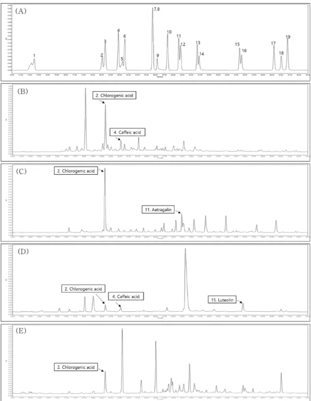 Fig. 2. HPLC chromatogram of (A); 19 standard phenolic compounds (Refer to Table 1 for each number), (B); Wang-beot-na-mu, (C); Bok-sa-na-mu, (D); Huin-min-deul-re, (E); Jeo-meon-kae-mo-ma-il, (F); Jjil-re-kkot, (G); Yeon-kkot, (H);  Kkot-hyang-yu, (I); Sa