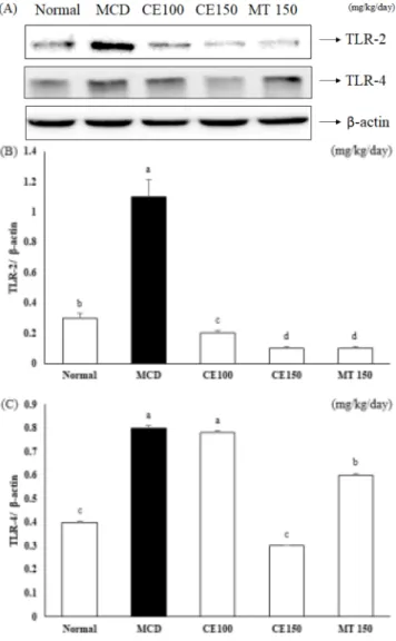 Fig. 7. Effects  of  C. longa 50% ethanol extract on mRNA expression for toll-like receptors protein in  methionine-choline deficient diet mice