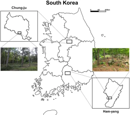 Fig. 1. Selection of experimental fields according to coniferous (Chung-ju, CJ) and mixed (Ham-yang, HY) forest in seed supply complex of wild-simulated ginseng.