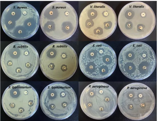 Table 5. The effect of light quality on antimicrobial activity of S. miltiorrhiza.