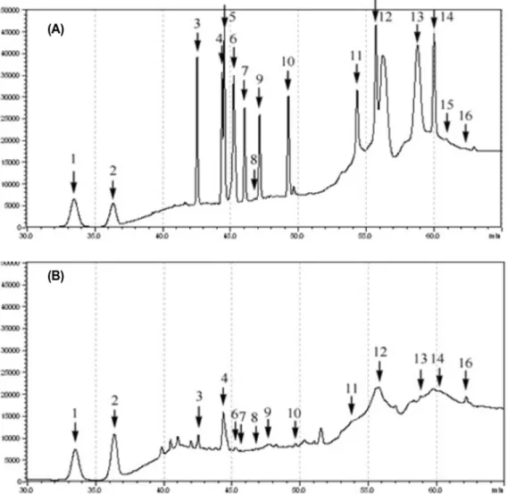 Fig. 2. HPLC analysis of ginsenoside contents of P. ginseng C. A. Meyer tissue culture broth