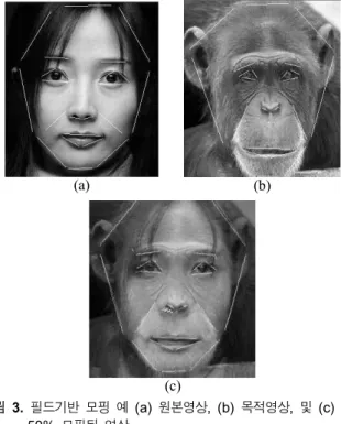 Fig.  3.  Example  of  Field-Based  Morphing  (a)  Original  Image,  (b)  Target  Image,  and  (c)  50%  Morphed  Image 그림3은 제어선이 그려진 원본 영상 (그림3(a))과 목적 영상  (그림3(b)) 및 필드 기반 모핑 방법을 이용하여 50% 모핑이 진 행된 결과 영상을 보여준다 (그림3(c))
