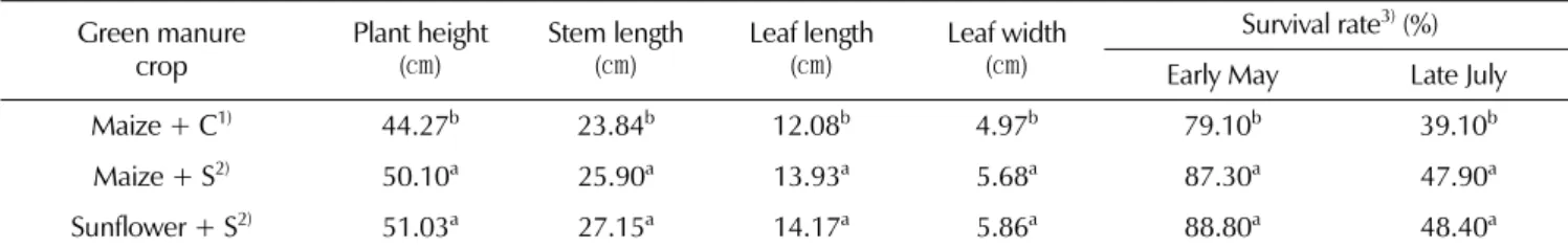 Table 6. Effect of soil incorporation of green manure and solarization on aerial growth characteristics of 3-years-old ginseng.