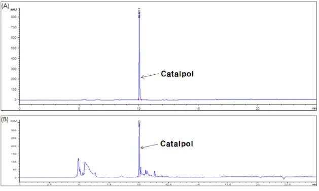 Table 1. LC analyisis condition of catalpol in R. glutinosa. 