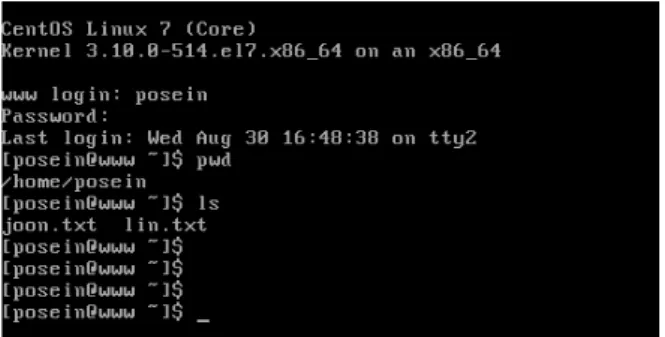 Fig.  1.  Text-based  console  environment