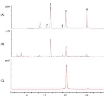 Fig. 1. HPLC chromatogram of A) standard 5 catechins and caffeine in green tea and of B) whole extract of green tea and C) CGTE