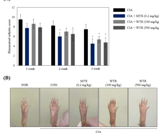 Fig. 1. Improvement effect of WTR on type II collagen-induced swelling and erythema of hind legs