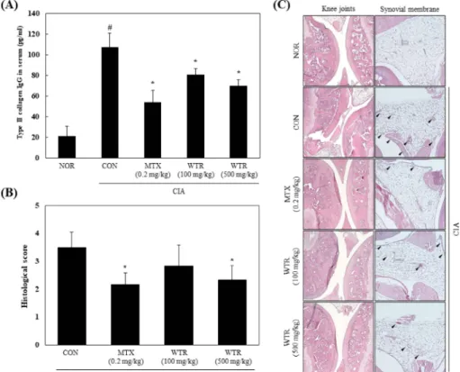 Fig. 2. Improvement effect of WTR on type II collagen IgG level and infiltration of inflammatory cell in synovial membrane