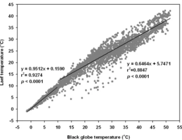 Fig. 1. Relationship between black globe temperature and leaf temperature of C. officinale Makino.